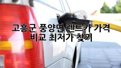 고흥군 풍양면 렌트카 가격 비교: 최저가 찾기